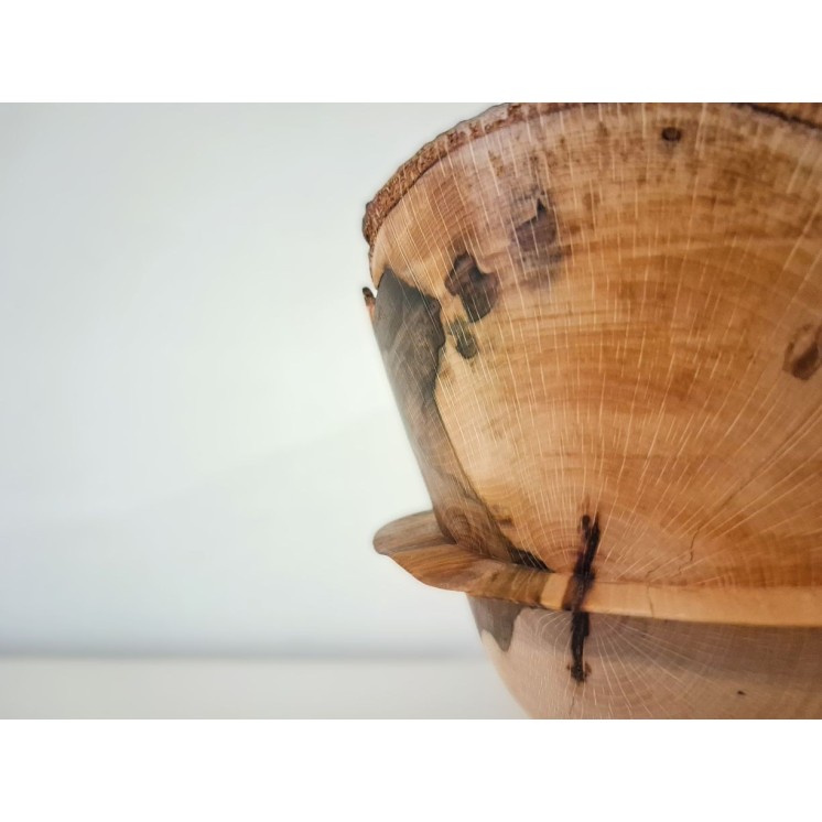Bol décoratif en hêtre échauffé avec bord naturelle et écorce