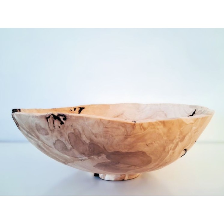Coupe XXL en loupe de hêtre, pièce rare