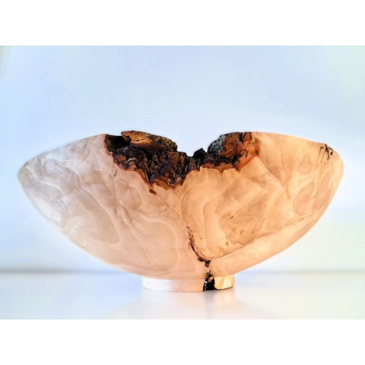 Coupe XXL en loupe de hêtre, pièce rare