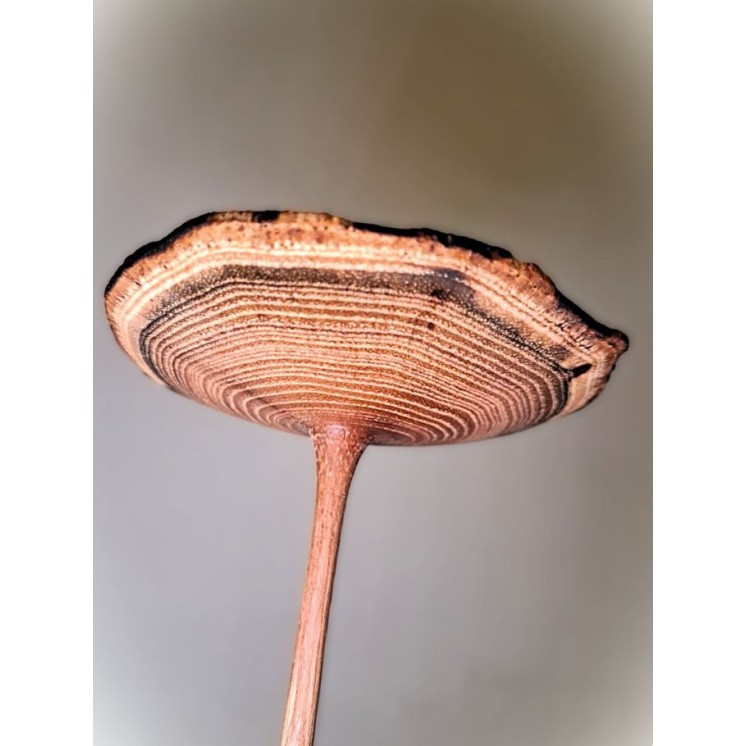 Fleur en bois de robinier faux-acacia | Pièce unique tournée à la main