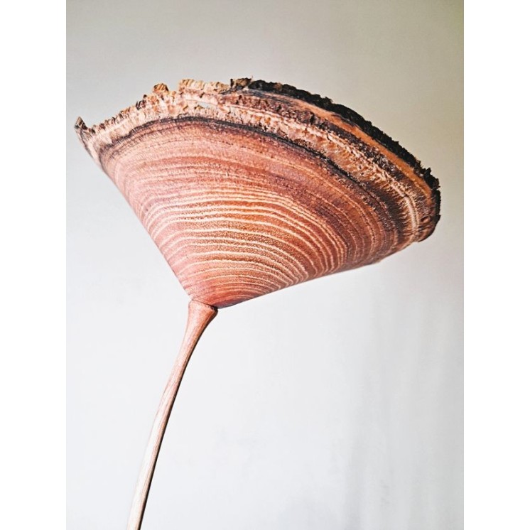 Fleur en bois de robinier faux-acacia | Pièce unique tournée à la main