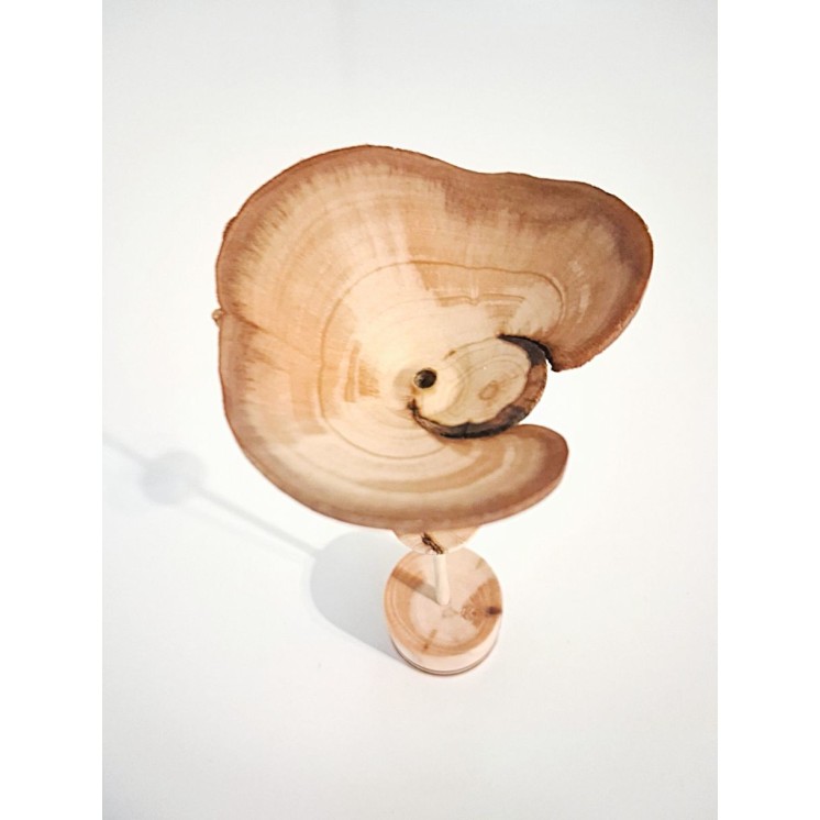 Fleur en bois d'aulne | Pièce unique tournée à la main